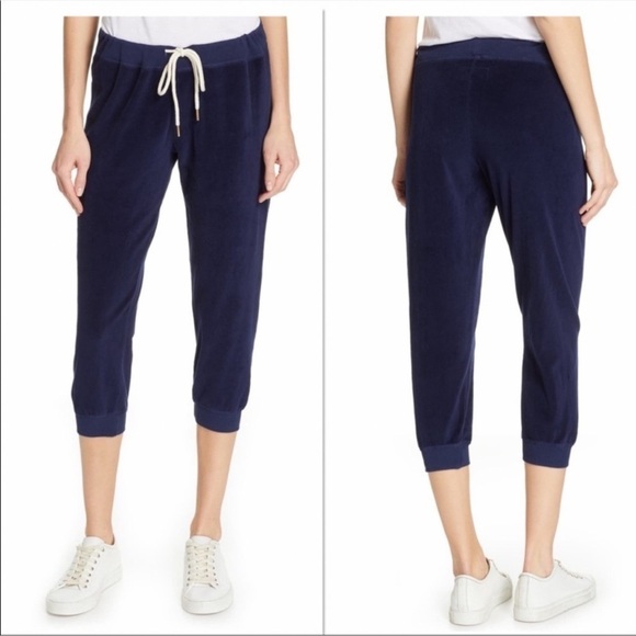 The Great The Velour Crop Sweatpant Size 3 or US Large - Picture 1 of 9